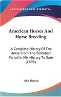 American Horses And Horse Breeding