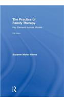 The Practice of Family Therapy