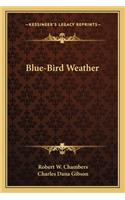 Blue-Bird Weather