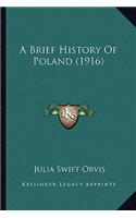 Brief History Of Poland (1916)