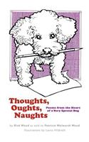 Thoughts, Oughts, Naughts