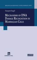 Mechanisms of DNA Damage Recognition in Mammalian Cells