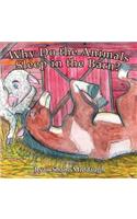 Why Do the Animals Sleep in the Barn?