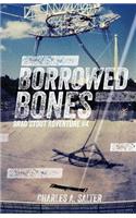 Borrowed Bones: Brad Stout Adventure #4(Brad Stout Adventures)