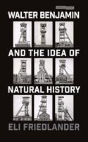 Walter Benjamin and the Idea of Natural History