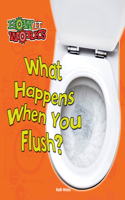 What Happens When You Flush?: (How It Works)