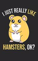 I Just Really Like Hamsters, OK?