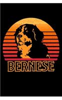 Bernese