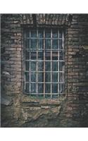 Schreibwerkstatt: Schneeflocken Matrix - XXL Planer Notizbuch (Größe: 8,5x 11 Zoll) für das kreative Schreiben und die Entwicklung komplexer Storys