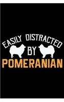 Easily Distracted by Pomeranian
