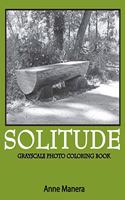 Solitude Grayscale Photo Coloring Book