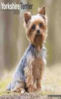 Yorkshire Terrier 2023 Wall Calendar