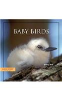 Baby Birds