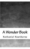 A Wonder Book