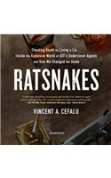 Ratsnakes