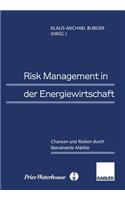 Risk Management in Der Energiewirtschaft