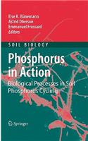 Phosphorus in Action