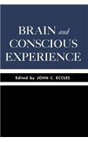 Brain and Conscious Experience