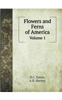 Flowers and Ferns of America Volume 1