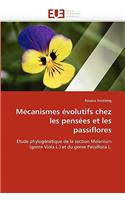 M?canismes ?volutifs Chez Les Pens?es Et Les Passiflores