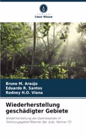 Wiederherstellung geschädigter Gebiete