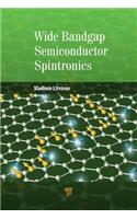 Wide Bandgap Semiconductor Spintronics