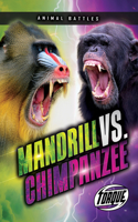 Piranha School vs. Arapaima