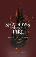 Shadows Within the Fire