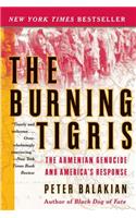Burning Tigris