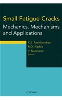 Small Fatigue Cracks