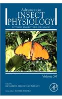 Butterfly Wing Patterns and Mimicry