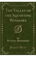 The Valley of the Squinting Windows (Classic Reprint)