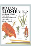 Botany Illustrated