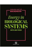 Energy in Biological Systems