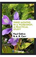 Three Months in a Workshop; A Practical Study