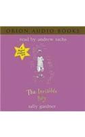 Invisible Boy