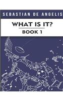 What Is It Book 1
