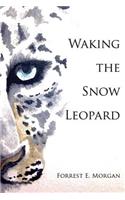 Waking the Snow Leopard