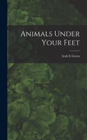 Animals Under Your Feet