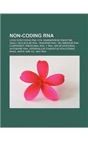 Non-Coding RNA: Long Non-Coding RNA, H19, Toxin-Antitoxin System, Mir-16 Microrna Precursor Family, Mir-155, History of RNA Biology(English)