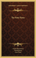 Pinto Horse