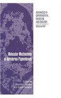 Molecular Mechanisms of Xeroderma Pigmentosum