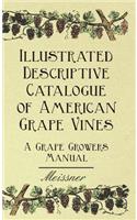 Illustrated Descriptive Catalogue Of American Grape Vines - A Grape Growers Manual