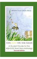 Sunlight on the Grass