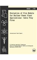 Evaluation of Fire Models for Nuclear Power Plant Applications