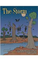 The Storm