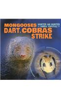 Mongooses Dart, Cobras Strike: (Hunter and Hunted: Animal Survival)