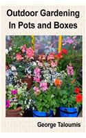 Outdoor Gardening In Pots and Boxes