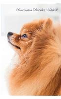 Pomeranian February Notebook Pomeranian Record, Log, Diary, Special Memories, To Do List, Academic Notepad, Scrapbook & More