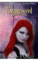 Evanescent (Ani'mari Saga, Book Two)